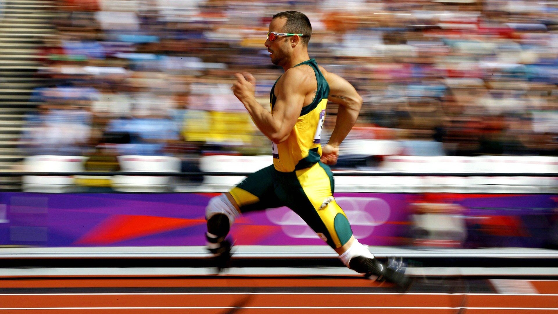 _国际游泳节：水中世界的精彩碰撞_，2021国际游泳比赛