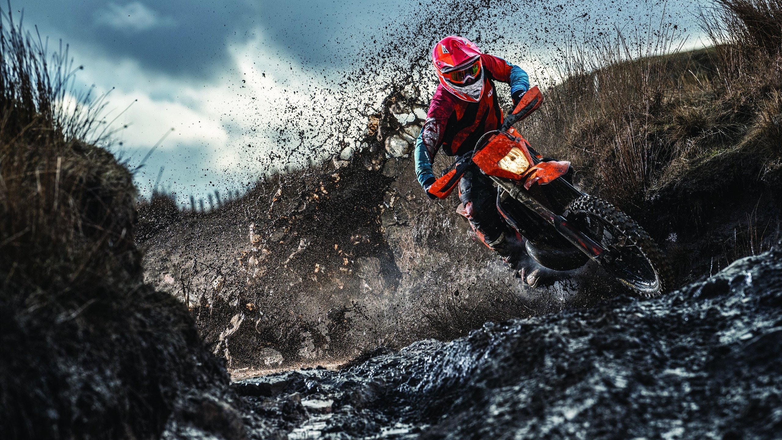 _都市骑行节：倡导绿色出行新风尚_，骑行发现城市之美